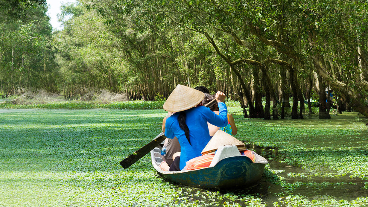 Manglar del delta del Mekong