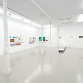 Raúl Silva, Naturalización técnica. Tecnificación natural, vista de exhibición. Cortesía de F2 Galería