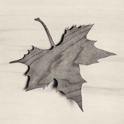 Chema Madoz. Serie "El Viajero Inmóvil", 2016. Miradas de Asturias. Mecenazgo. Fundación María Cristina Masaveu Peterson