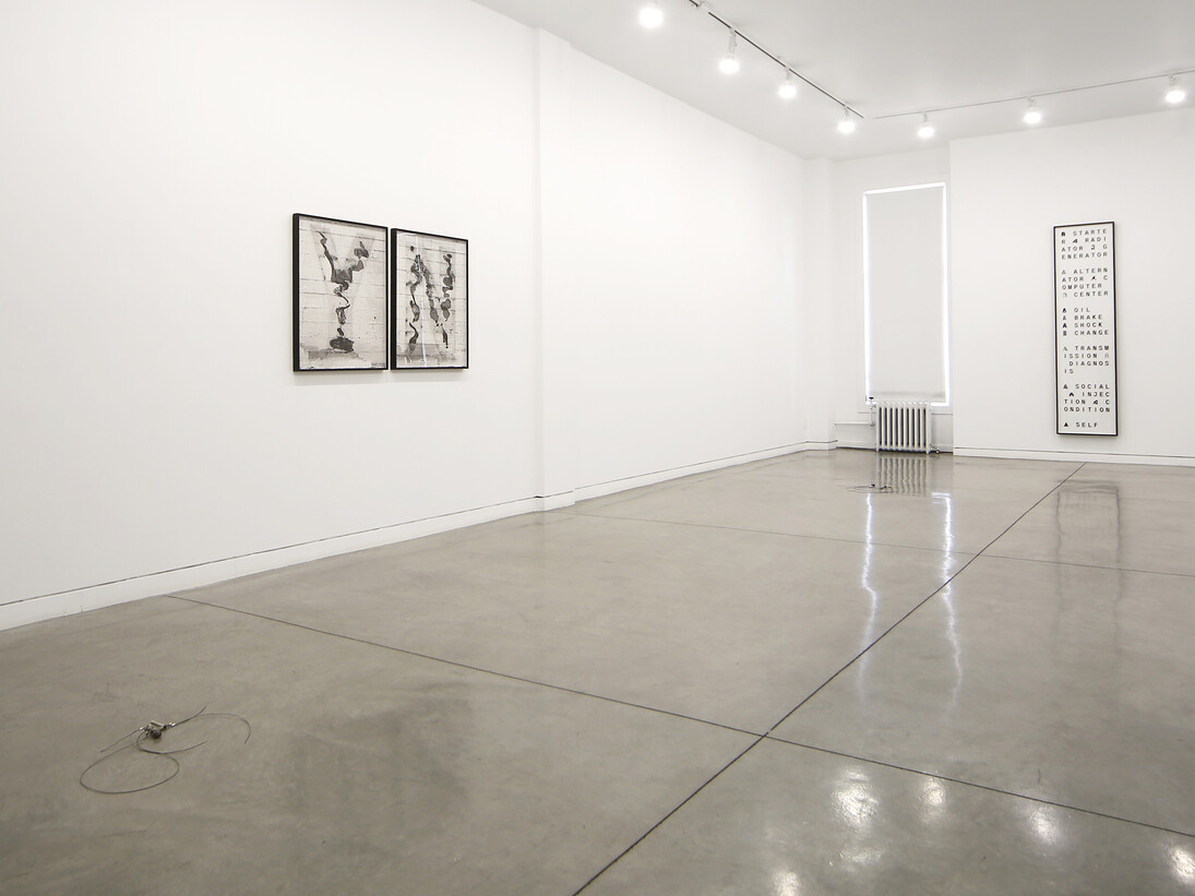 Of Echo Systems, 2016 
Installation view, Altman Siegel, San Francisco, 
Courtesy of the artists and Altman Siegel, San Francisco
