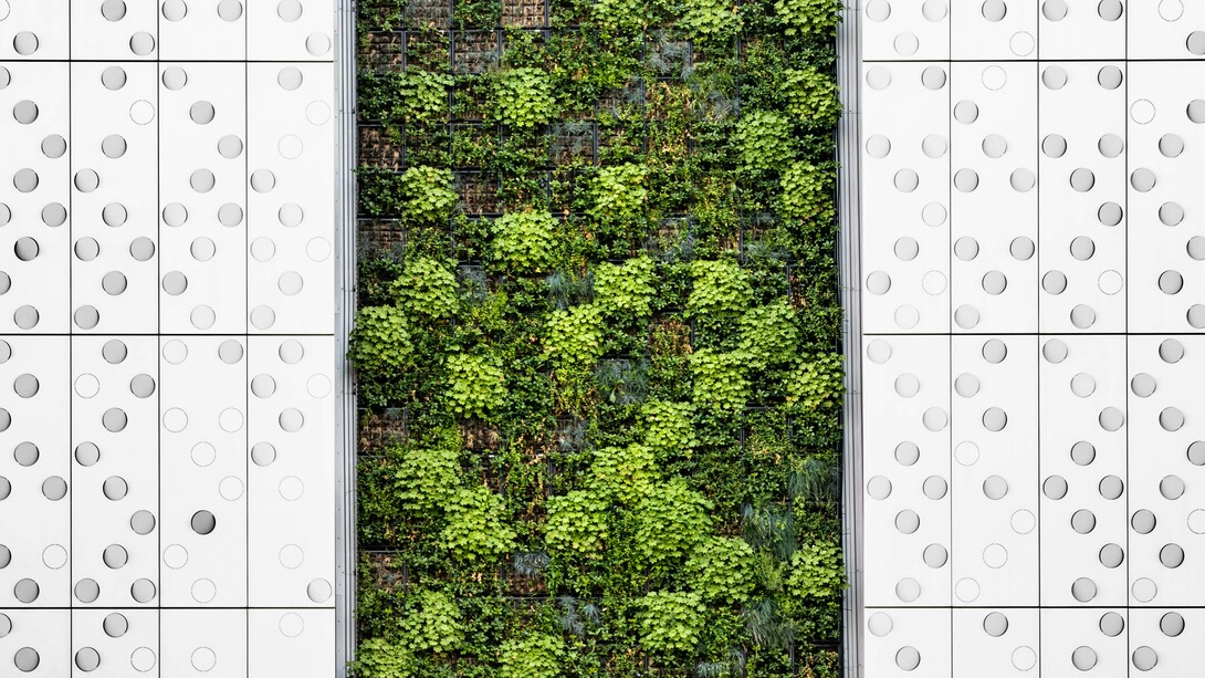 La arquitectura sustentable invita a repensar la forma en que construimos, pero también a cuestionar si las soluciones visibles alcanzan para enfrentar una crisis ambiental cada vez más profunda