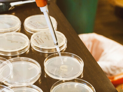 Las investigaciones en nanotecnología han dado lugar a materiales con propiedades autorregenerativas y mayor biocompatibilidad