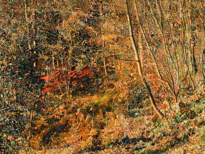 Franz Gertsch. Courtesy of Museum Franz Gertsch