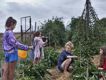 Le Meraviglie, di Alice Rohrwacher