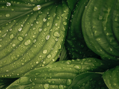 Será que surgimos sin tiempo, de un Uno solo