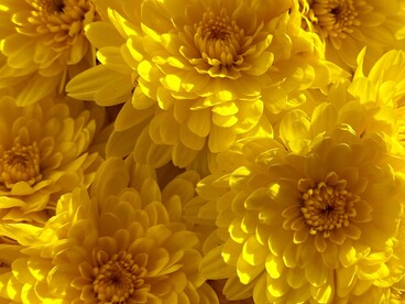 Le comunità più vulnerabili, inclusi lavoratori agricoli e caste svantaggiate, affrontano difficoltà economiche legate a lavori precari, cambiamenti climatici e scarse opportunità di crescita