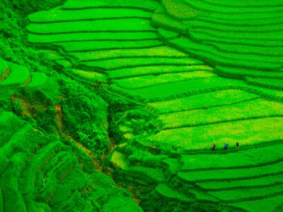 China tiene un plan para reducir a cero la pobreza rural 