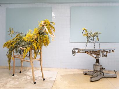 Aperto 21 Nomura Yuka, Golden river, exhibition view. Courtesy of 21st Century Museum of Contemporary Art