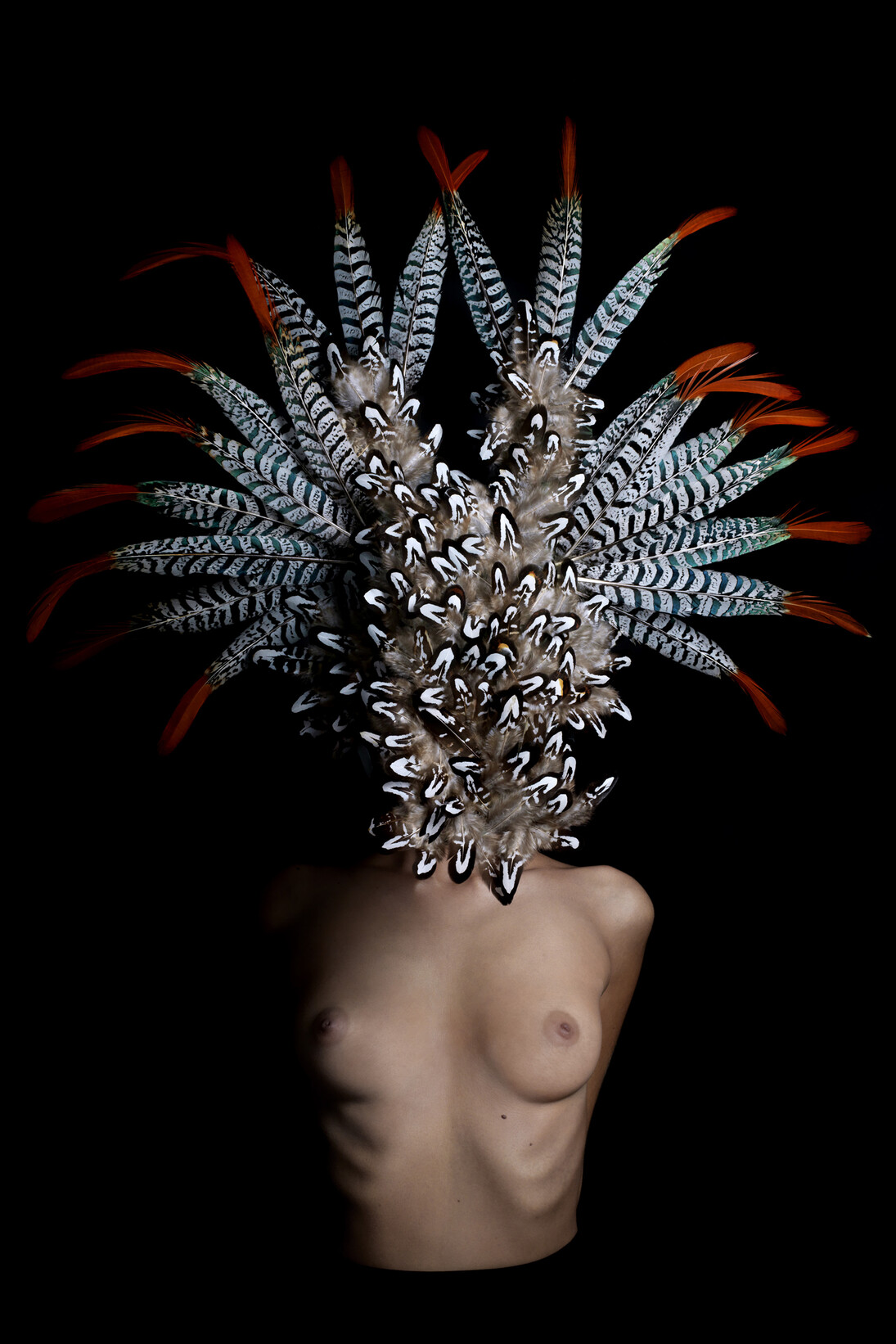Marco Schifano, Le spose di Max, 2016. Stampa su carta baritata montata su alluminio, 100 x 80 cm. Courtesy of Studio Giangaleazzo Visconti