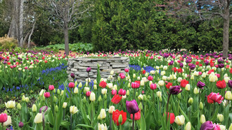 En el mundo moderno vivimos rodeados de luz artificial y, a menudo, nuestro reloj interno se siente confundido. Los centros cerebrales que regulan el sueño pueden creer que es de día a las tres de la mañana