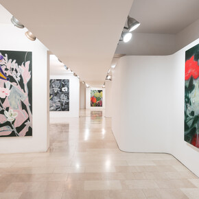 Fuori dalla nostra finestra: i dipinti recenti di Ross Bleckner, 2018-2025, vista della mostra. Per gentile concessione di Galleria Mazzoli 