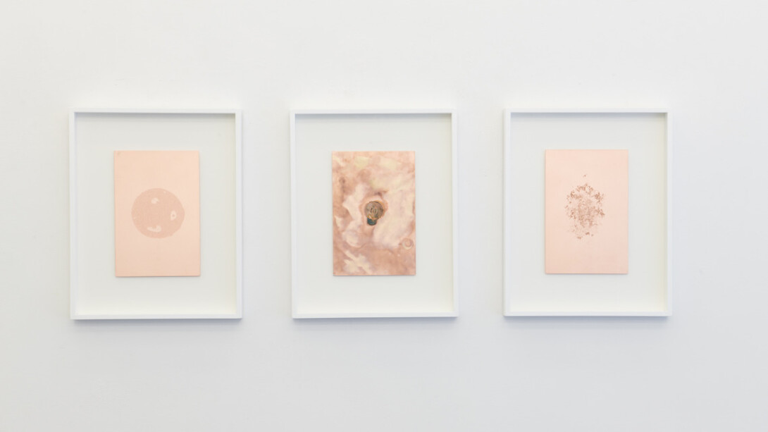 Antidotes and their Counterparts. Courtesy of Häusler Contemporary ©Mischa Scherrer