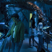 South Florida People & Environments. Courtesy of Florida Museum of Natural History