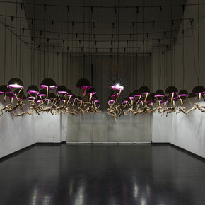 SUNLIGHT. Courtesy of Galleria Pack
