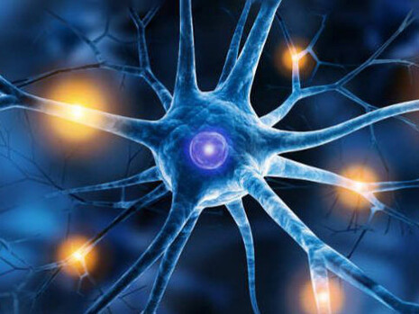 Modern science has given us an insight into the chemistry and physiology of emotions