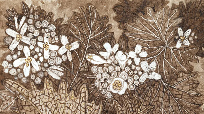 Margot Glass, Garlic mustard (detail), 2026. Courtesy of Kenise Barnes Fine Art