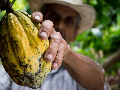 Trabajador agrario colombiano