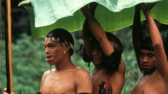 Un gruppo di Yanomami alla ricerca di cibo