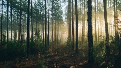 La sacralità degli elementi naturali, il culto della madre-terra, i riti propiziatori per i buoni raccolti, testimoniano l’esistenza di uno stretto e indissolubile legame tra l’uomo e la natura