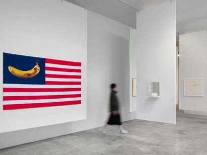 Luis Camnitzer, Una que cubre la palabra que la nombra, vista de exhibición. Cortesía de la Galería Labor