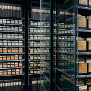 Restoring Family Links. Courtesy of Musée international de la Croix-Rouge et du Croissant-Rouge