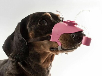 Designers in Residence 2017. Courtesy of Design Museum