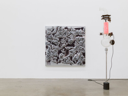 Thomas Feuerstein. Courtesy of Sexauer
