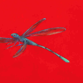 Angela Lyn. Floating gardens. Courtesy of Cortesi Gallery