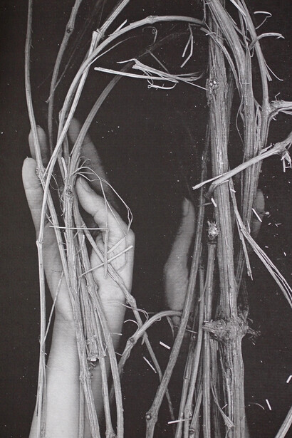 Nature des profondeurs. Courtesy of Alberta Pane gallery