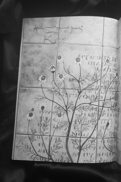 Mariella Busi De Logu, nero scarlatto, 2011