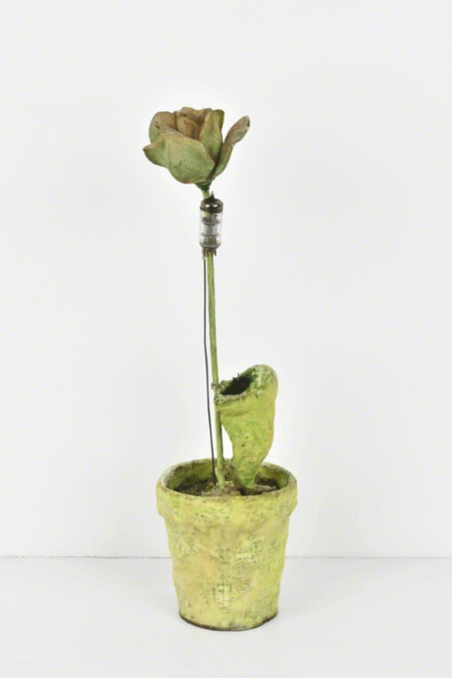 De humani corporis fabrica. Courtesy of Christophe Gaillard