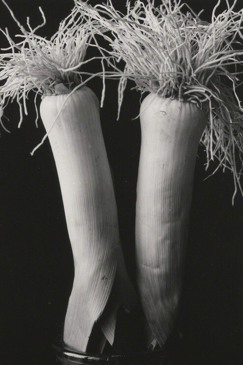 Betsy Crowell. Courtesy of John Davis Gallery