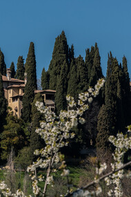Asolo è una bellezza che puoi scorgere da lontano e già inizia ad emozionarti