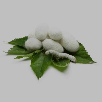 The whole process of capitalism and globalization had started with the quest by Romulus and Remus, the Byzantine Double-Headed Eagle and Venetian Lion of Saint Marco Polo for Cathay Silk along the Silk Road