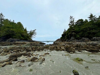 From ancient forests to storm-worn shores, Vancouver Island’s west coast reveals a layered history of nature and nation-building