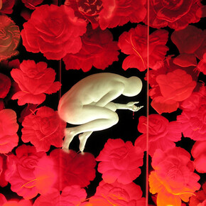 Alison Kinnaird, Bed of Roses 