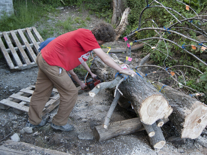 Pep Vidal. 19-metre tree. Image courtesy of ADN Gallery. Paula Artés (©)