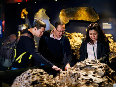 Origins, exhibition view. Courtesy of Western Australian Museum