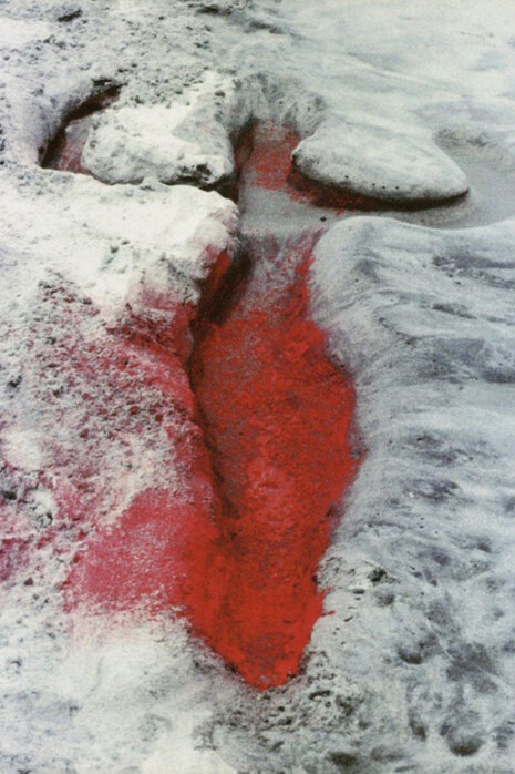 Ana Mendieta; Sin título. Serie «Siluetas», 1973-1978