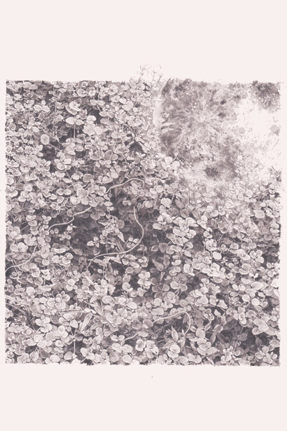 Ashley Yakka Yeo, the world is full without me (your forgot the moon II), 2013, graphite on paper, 8 1/4 x 11 1/5 in. Courtesy of the artist.