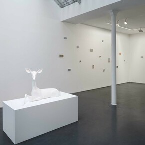 Miguel Branco, Spectres, Exhibition view. Courtesy of Jeanne Bucher Jaeger