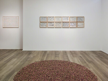Herman De Vries, Exhibition view. Courtesy of Cortesi Gallery