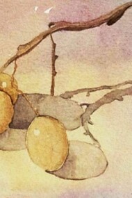 Mariella Busi De Logu, Three Grapes