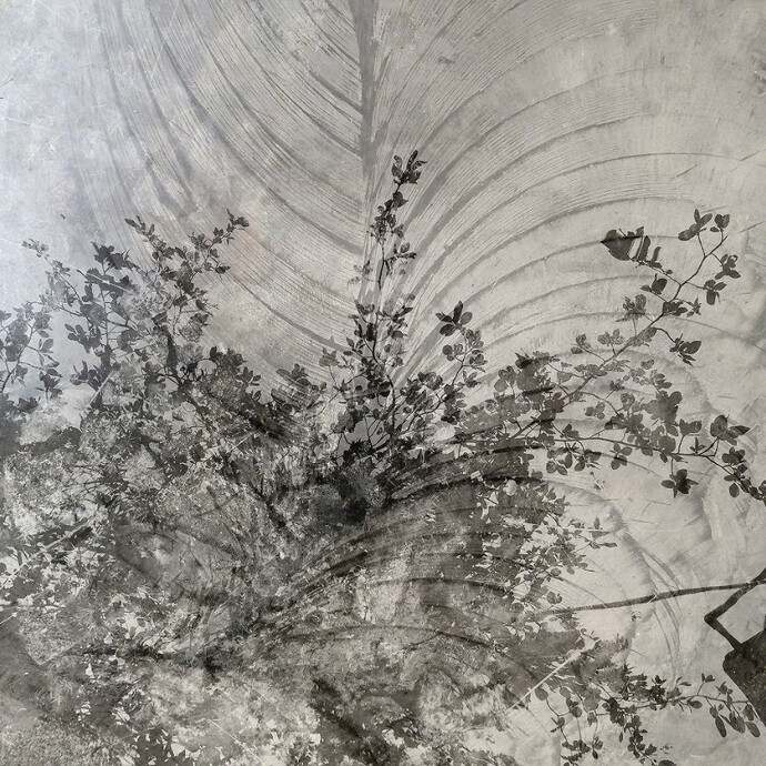 Augusta Wood. Courtesy of Denk gallery