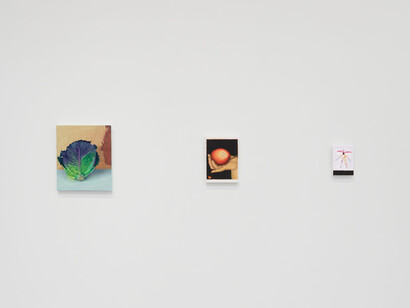 Allison Katz, Outta the bag, exhibition view. Courtesy of Hauser & Wirth Gallery