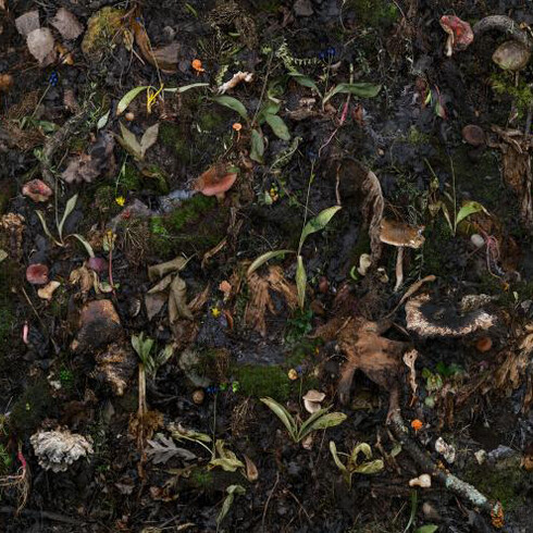 Tanya Marcuse. Courtesy of George Eastman Museum