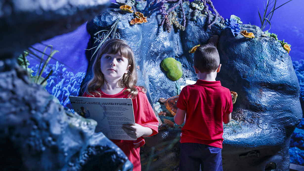 Your shipwreck adventure, exhibition view. Courtesy of Queensland Museum Tropics