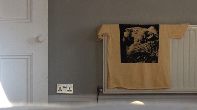 Charlotte Prodger. Courtesy of SculptureCenter