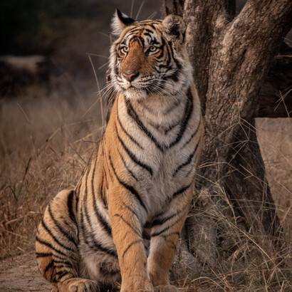 A new mix, we could call it a metamorphosis, was underway