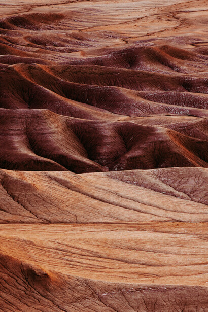 La desertificazione infatti è uno dei grandi problemi che la nostra terra sta affrontando